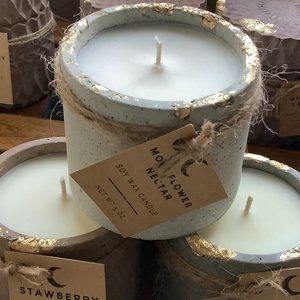Cement Soy Candle Moonflower Nectar Scented